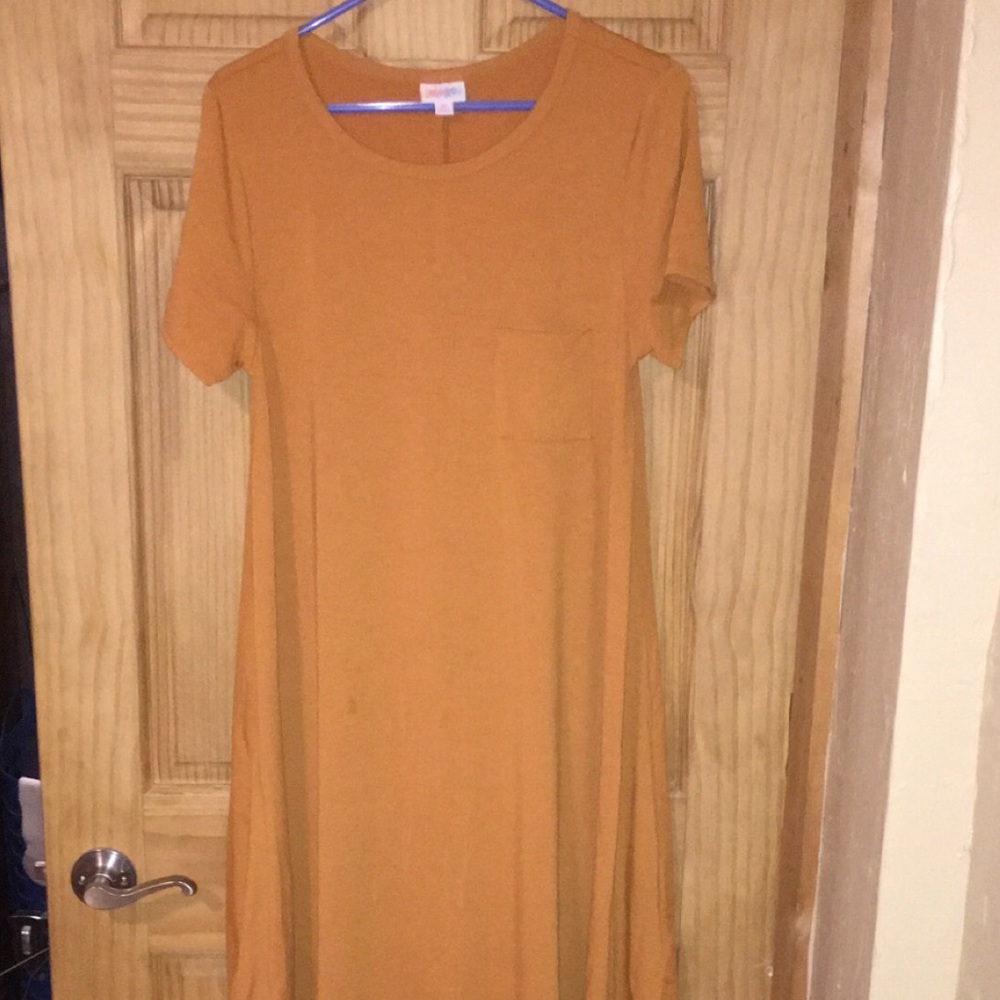 LuLaRoe M Carly dress